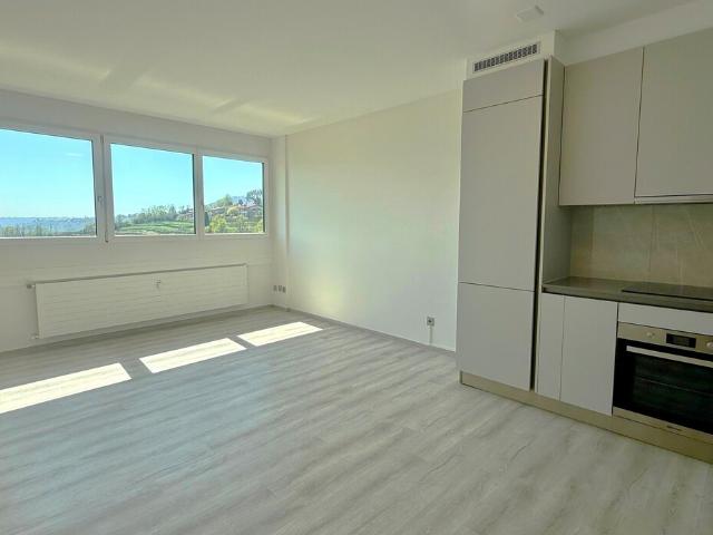 BIS ZU 3 MONATE KOSTENLOS – 2.5 moderne Zimmer in Coldrerio