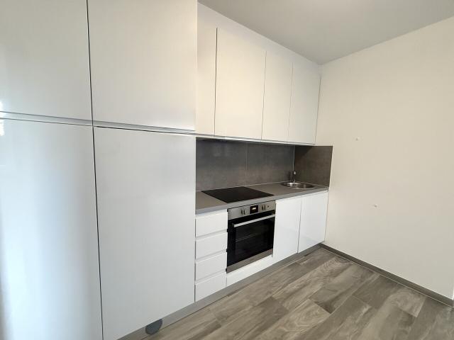 BIS ZU 3 MONATE KOSTENLOS – 3.5 ZIMMEN RENOVIERT IN MENDRISIO