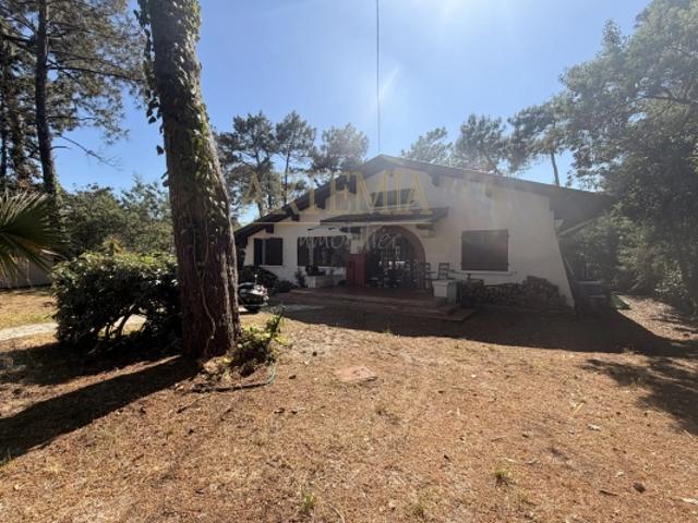 BISCARROSSE, maison à vendre, 5 pièces, 129 m²