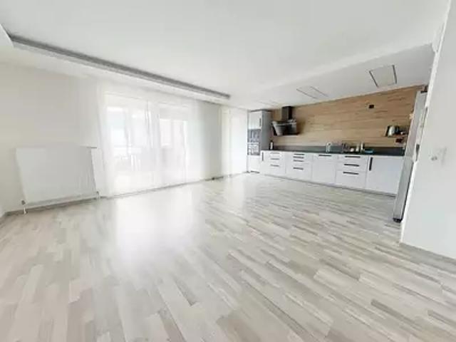 Bischheim 67800 Achat / Vente appartement 4 pièces t4 terrasse