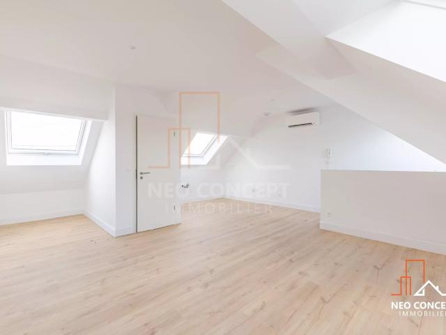 Bischwiller Vente Appartement 67