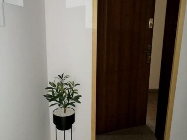 Bitwy pod Płowcami 30 m², Sopot