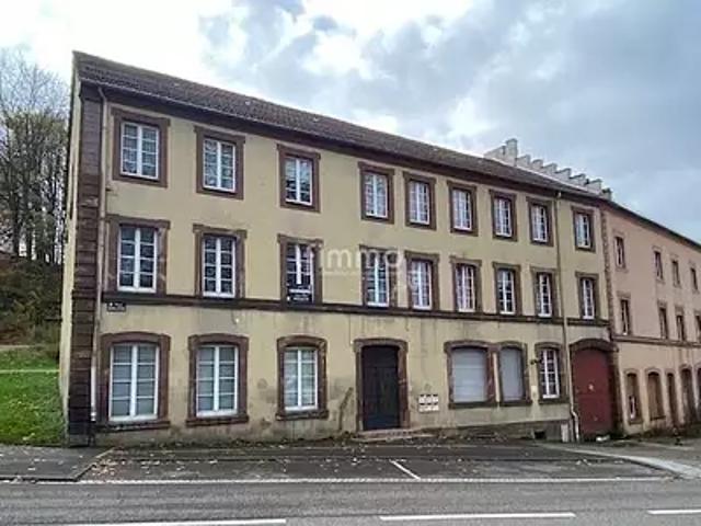 Bitche 57230 Achat / Vente immeuble
