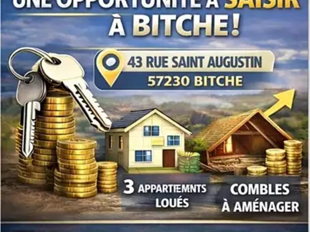 Bitche 57230 Achat / Vente immeuble