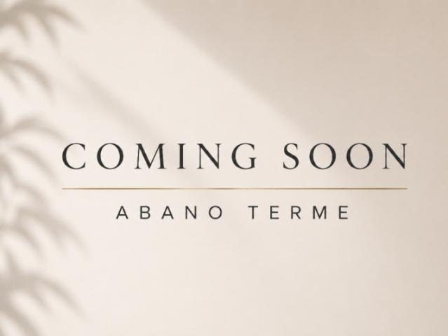 Bi/Tri/Quadrifamiliare in Vendita a Abano Terme