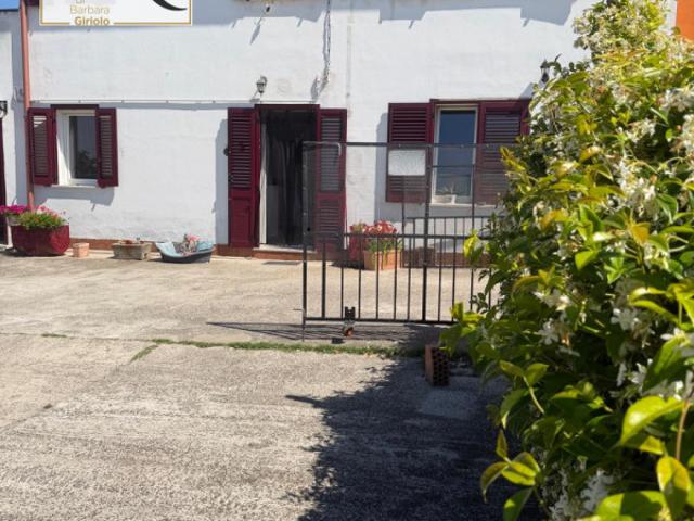 Bi/Tri/Quadrifamiliare in Vendita a Bagnolo di Po