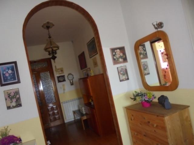 Bi/Tri/Quadrifamiliare in Vendita a Riva del Po