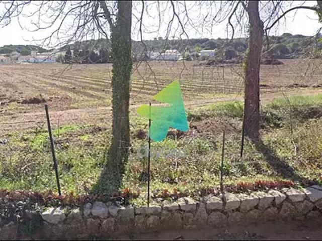 Bizanet 11200 Achat / Vente terrain