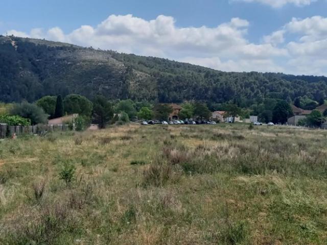 Bize Minervois Vente Terrain 11