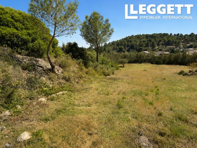 Bize Minervois Vente Terrain 11