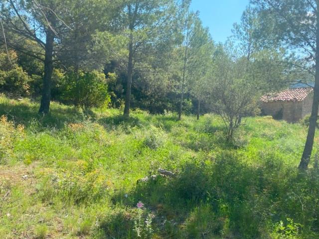 Bize Minervois Vente Terrain 11