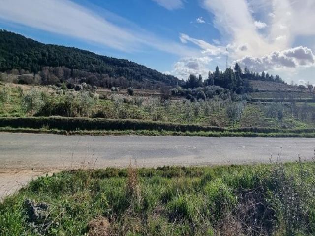 Bize Minervois Vente Terrain 11