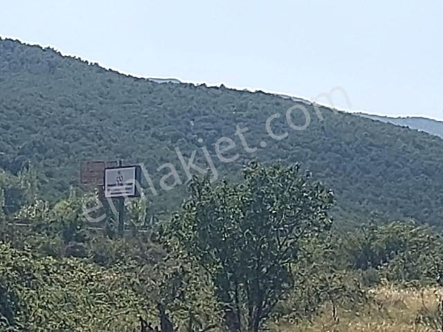 Bizim Emlaktan 622 M² Bahçeli Mustakil
