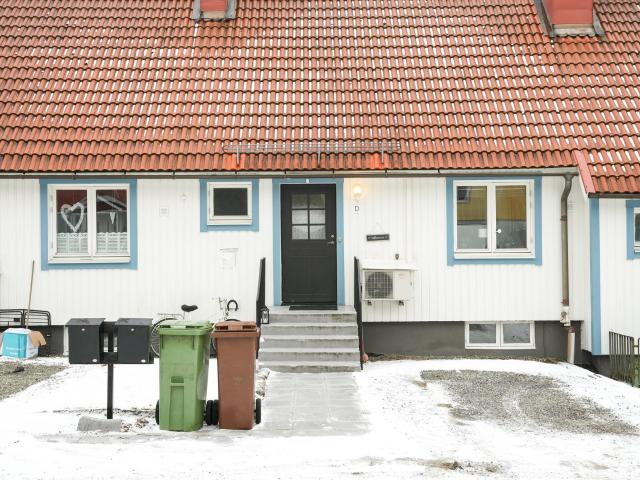 Björkstigen 2D