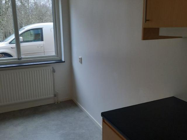 Björkvägen, Kosta