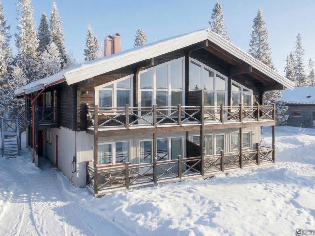 Björnen Falken 1C