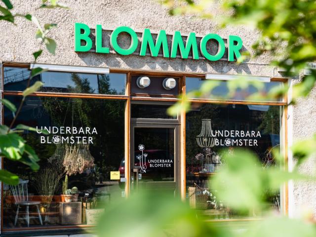 Björnsonsgatan 138