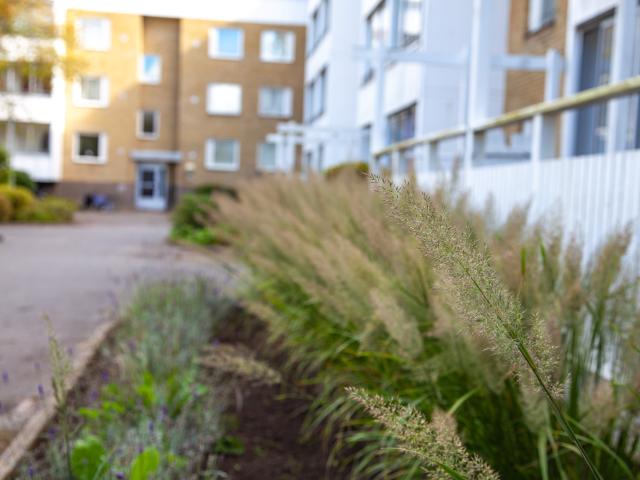 Bjäregatan 13