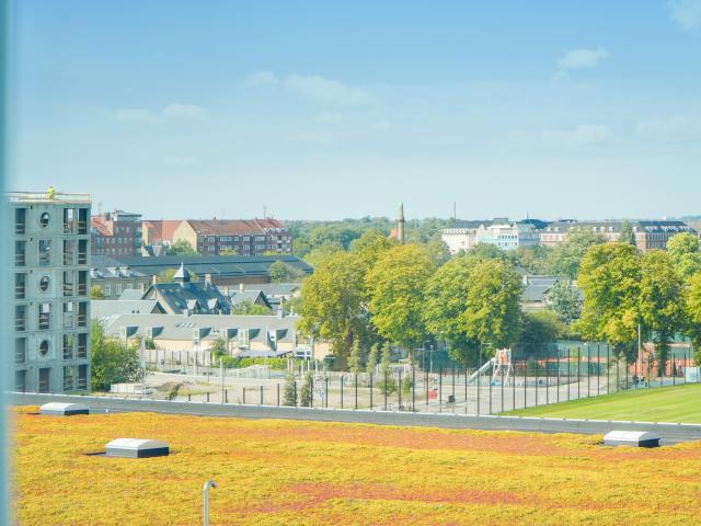Bo til leje i den fede del af Østerbro