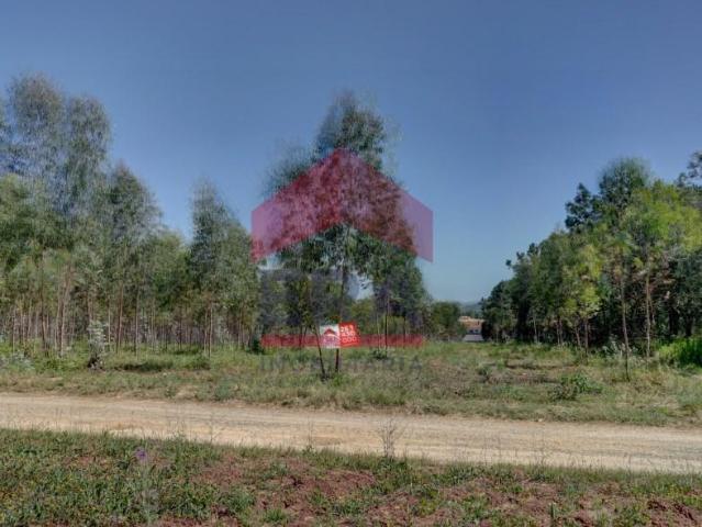 Bombarral Bombarral LS95848401