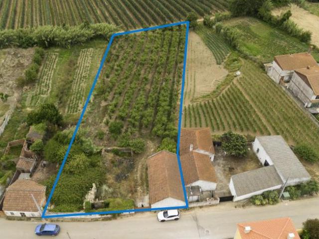 Bombarral Leiria 103374268