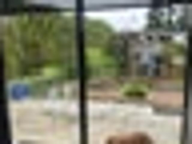 Bombay, 2 bedrooms, $600 pw