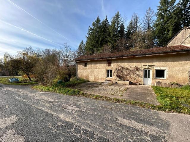 Bonvillet Vente Maison 88