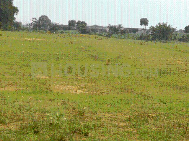 Bongloor Residential Plot For Sale Hyderabad