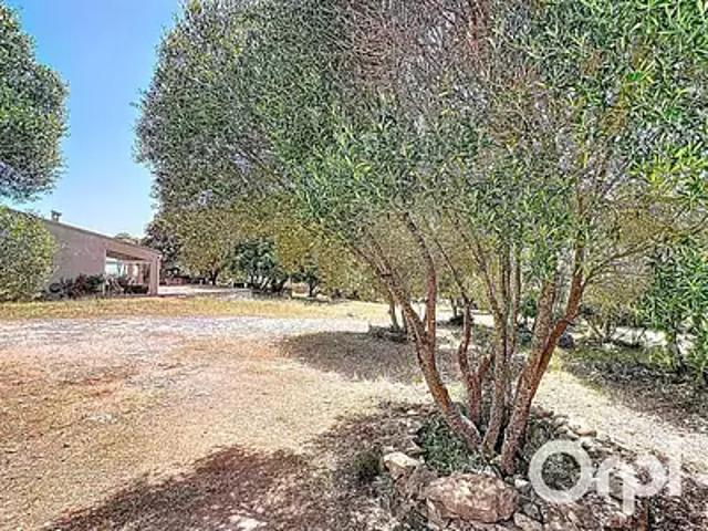 Bonifacio 20169 Achat / Vente maison 4 pièces t4 jardin terrasse