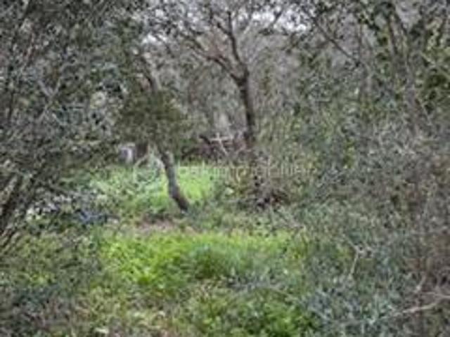 Bonifacio Vente Terrain 20