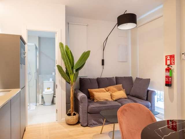 Bonito apartamento de 1 dormitorio en alquiler en La Latina, Madrid