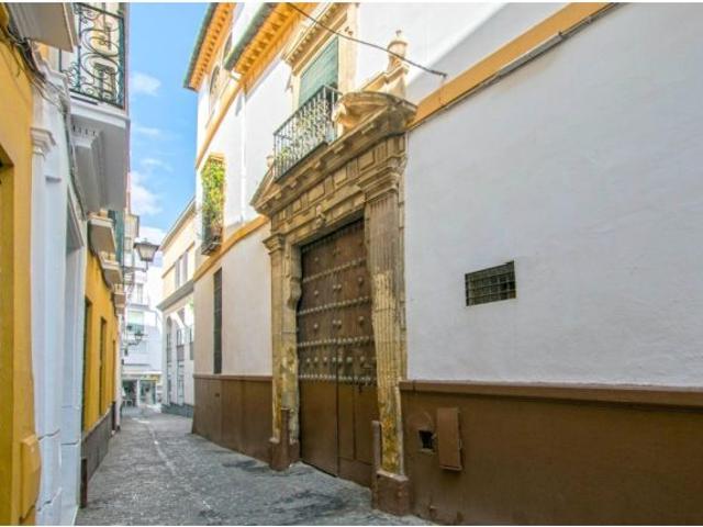 Bonito apartamento en pleno centro de Sevilla, junto Plaza del Salvador!