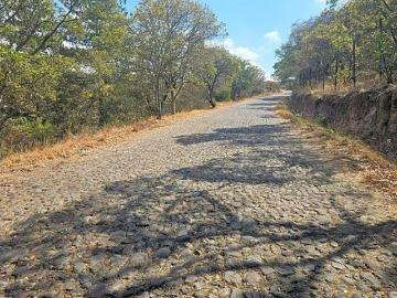 Bonito Bosque de Amealco