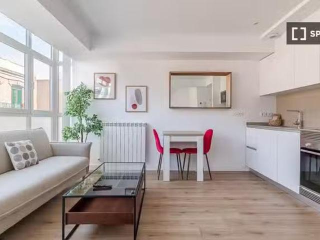 Acogedor Estudio en alquiler en Castillejos, Madrid