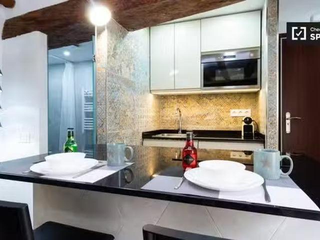 Bonito estudio en alquiler en El Raval, Barcelona