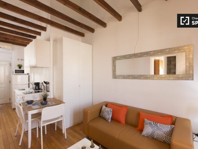 Bonito estudio en alquiler en la Puerta del Ángel, Madrid