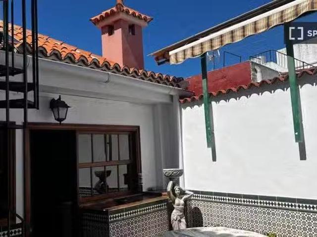 Barato Se alquila piso de 5 habitaciones en La Orotava, todos.