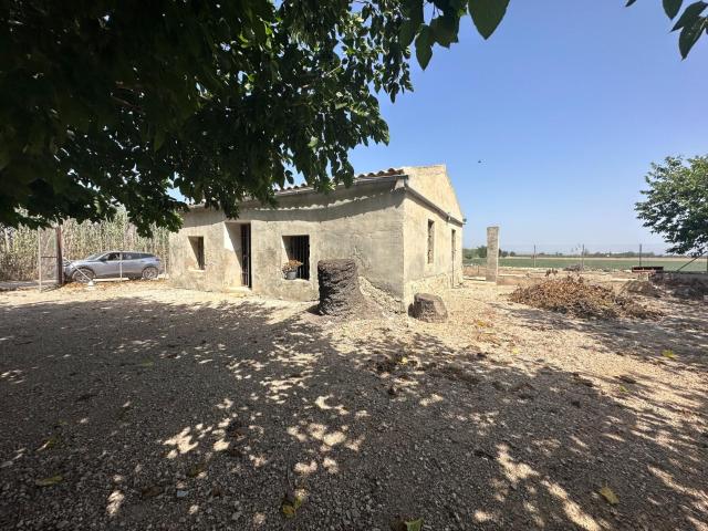 Bonita Casa De Campo Con Gran PARCELA& nbsp CERCA De ELCH. 50m² Elche