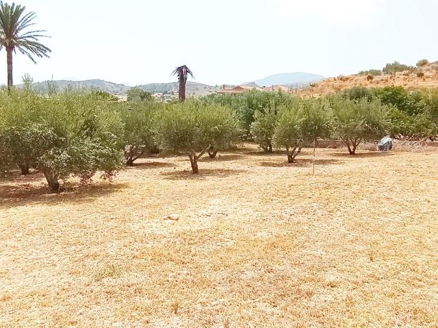 BONITA CASA DE CAMPO CON TERRENO EN CAMPO CARTAGENA 1600m2
