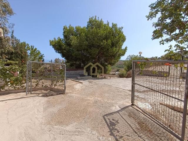 Bonita finca en Guardamar del Segura con casi 10.000 m² de parcela