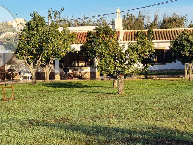 Bonita quinta de 9.920 m² com casa de dois quartos, garagem, amplo armazém, poço & árvores de fruto