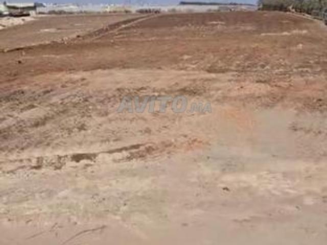 Bonne opportunité terrain plus d'un hectare