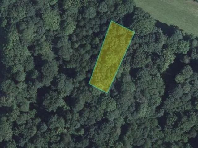 Bonne parcelle en zone forestière sur 18a 80ca