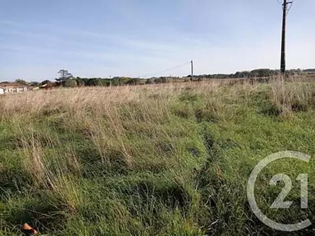 Bonnegarde 40330 Achat / Vente terrain