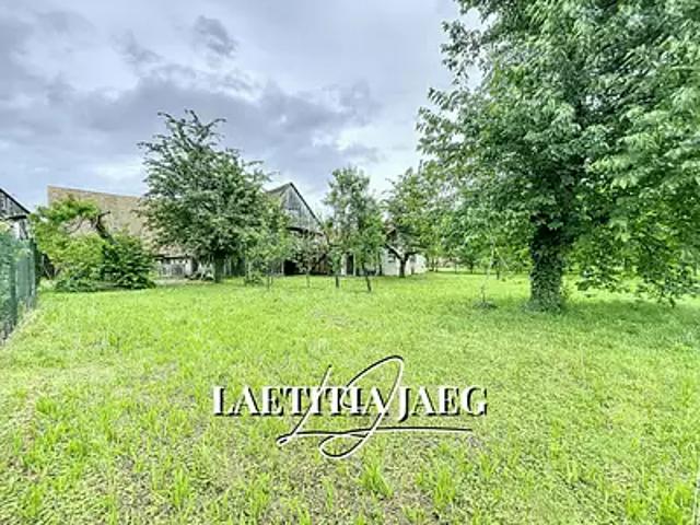Boofzheim 67860 Achat / Vente terrain