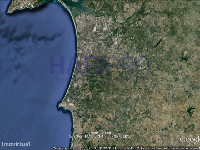 Boa herdade ganadeira a funcionar