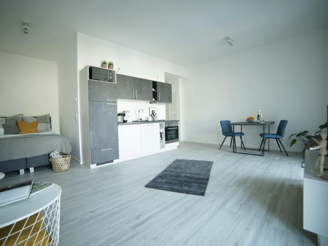 BOARDING APARTMENT VIEW TERRASSE 1 Zimmer voll ausgestattet PRIME PARK *Tagespreis Euro 99, €* Aurelion Immobilien Aschaffenburg