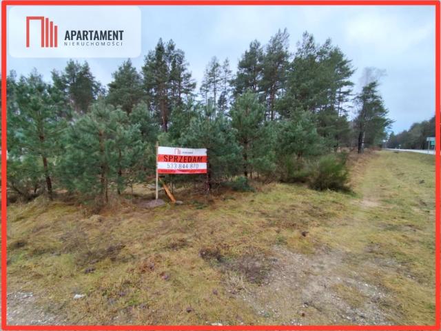 Działka 2 500 m², Biały Bór