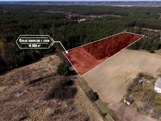 Boczna 14 000 m², Czarże