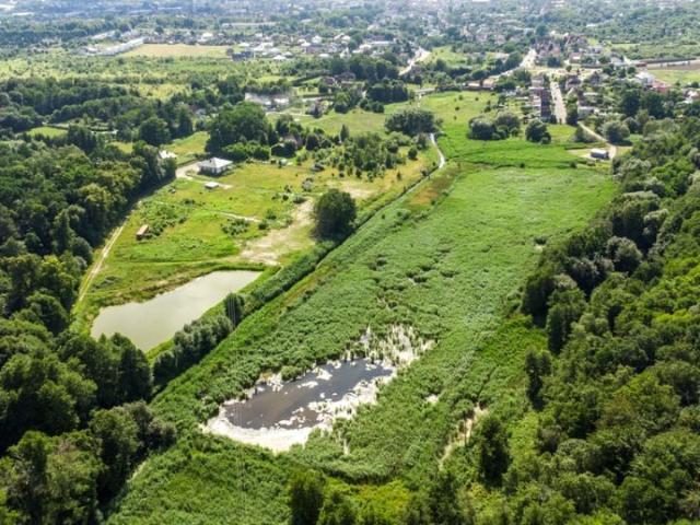 Bociania 68 853 m², Żary